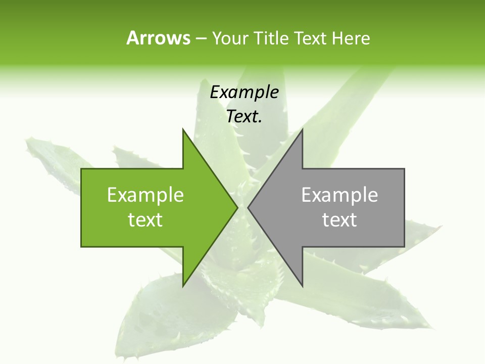 Flower Detail Aloe PowerPoint Template