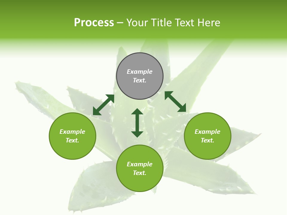 Flower Detail Aloe PowerPoint Template