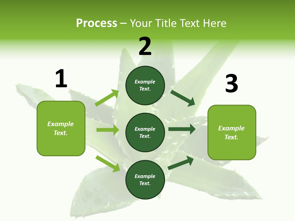 Flower Detail Aloe PowerPoint Template