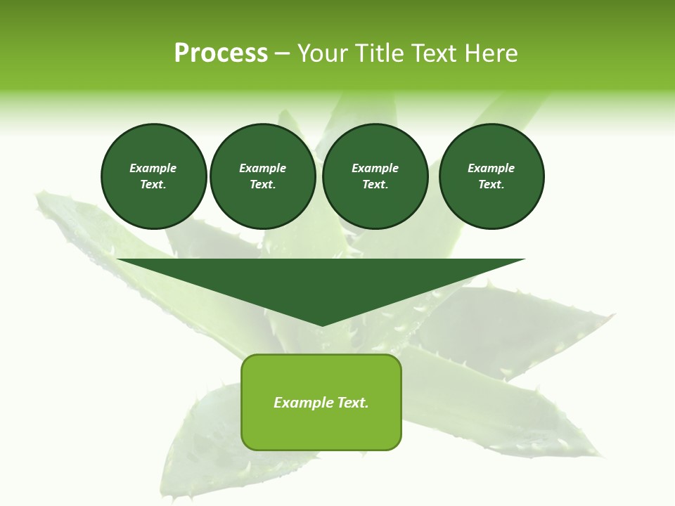 Flower Detail Aloe PowerPoint Template