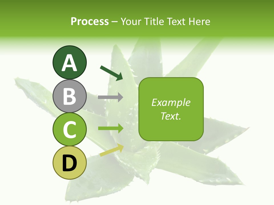 Flower Detail Aloe PowerPoint Template