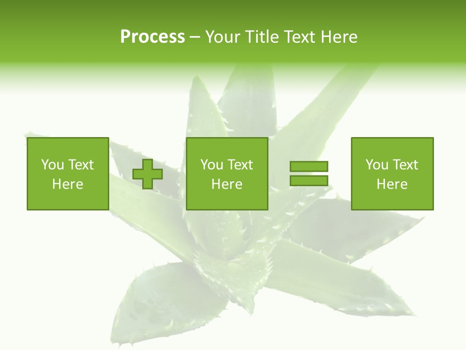 Flower Detail Aloe PowerPoint Template