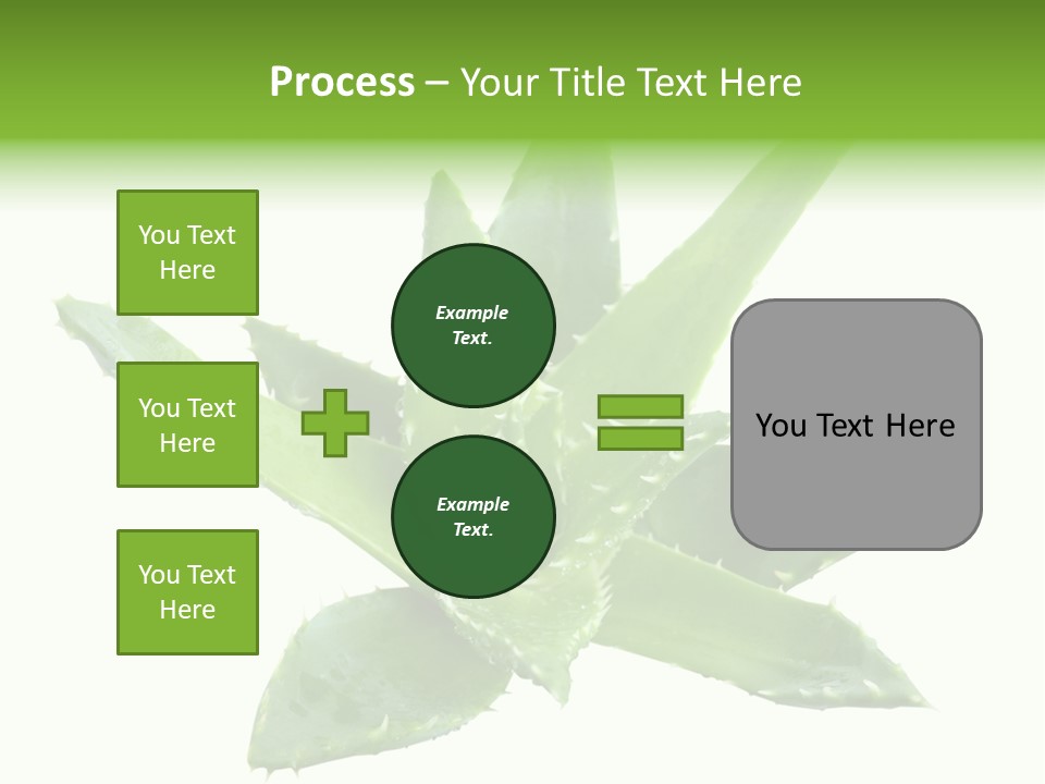 Flower Detail Aloe PowerPoint Template