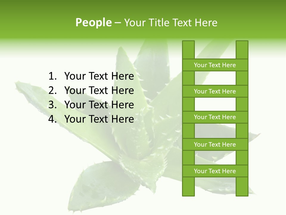 Flower Detail Aloe PowerPoint Template