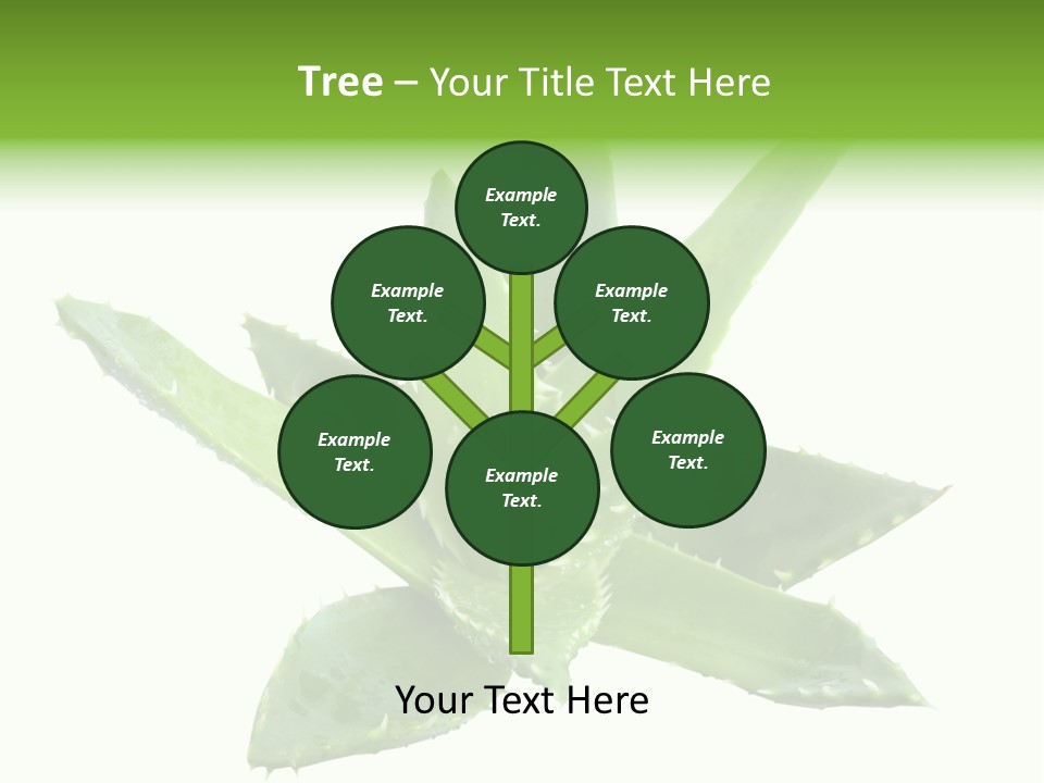 Flower Detail Aloe PowerPoint Template