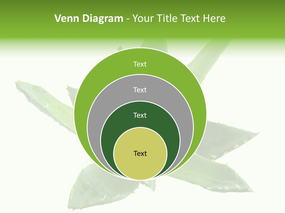 Flower Detail Aloe PowerPoint Template