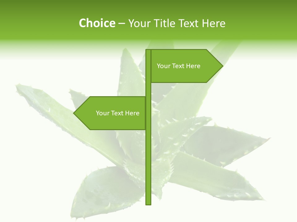 Flower Detail Aloe PowerPoint Template
