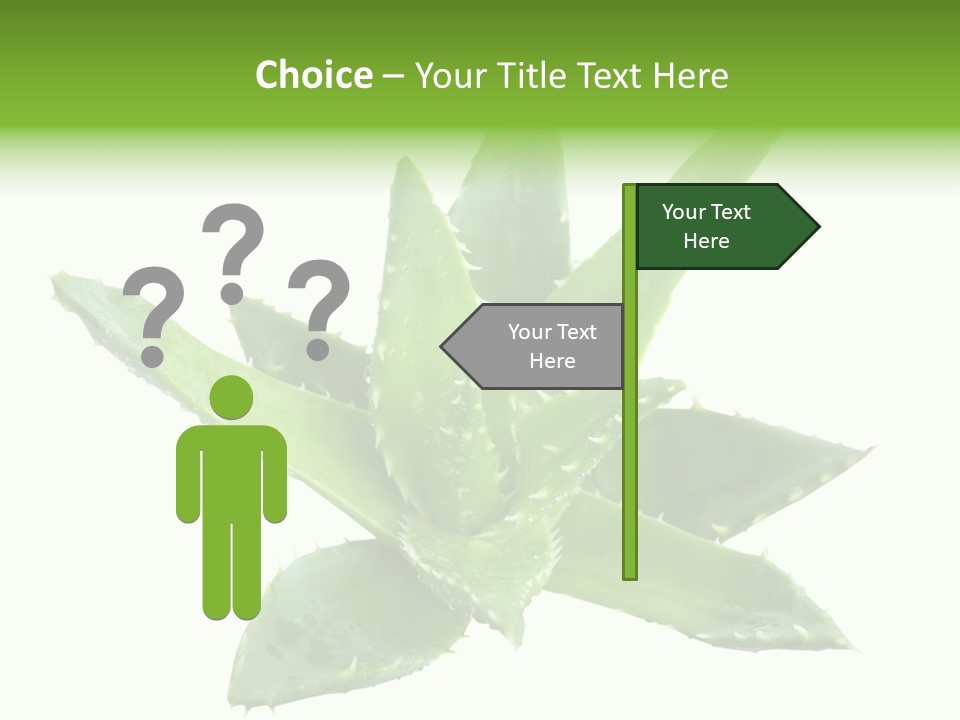 Flower Detail Aloe PowerPoint Template