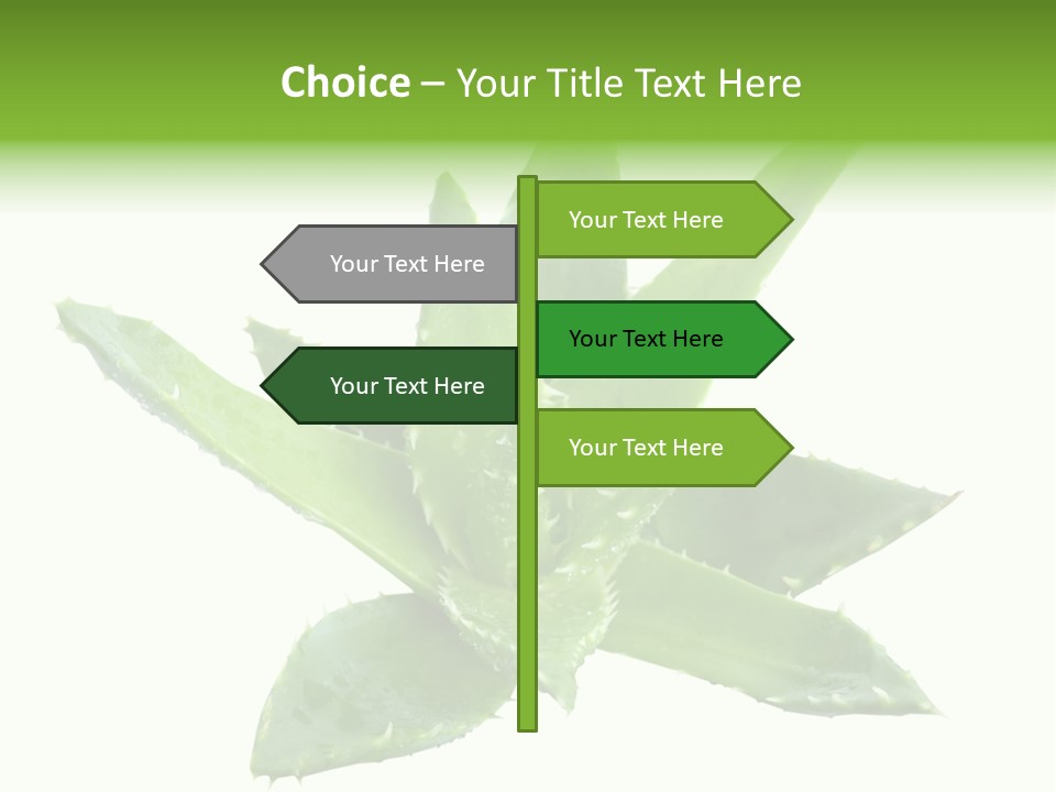 Flower Detail Aloe PowerPoint Template