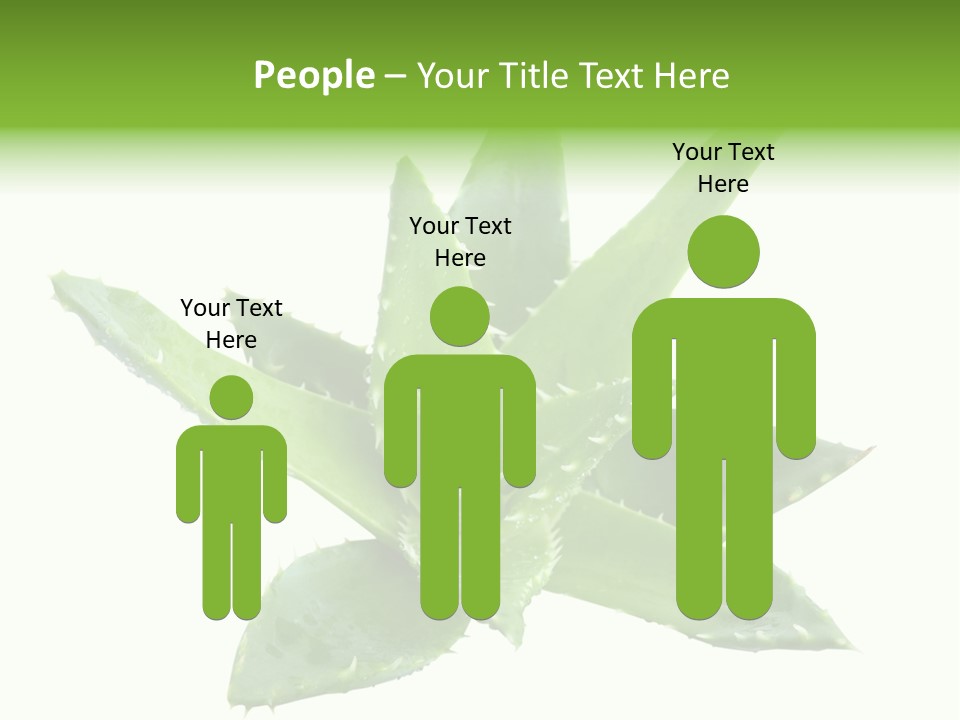 Flower Detail Aloe PowerPoint Template