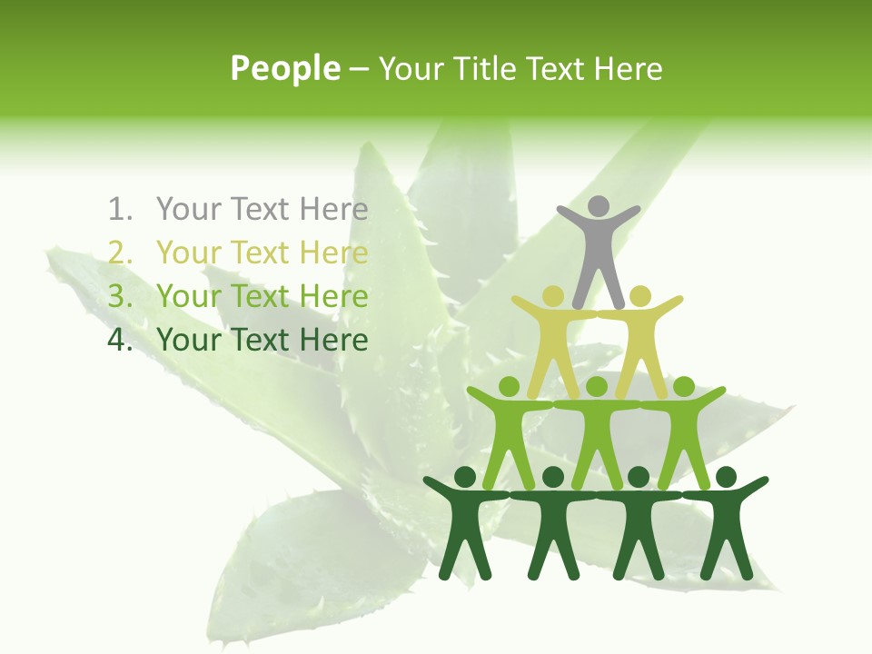 Flower Detail Aloe PowerPoint Template