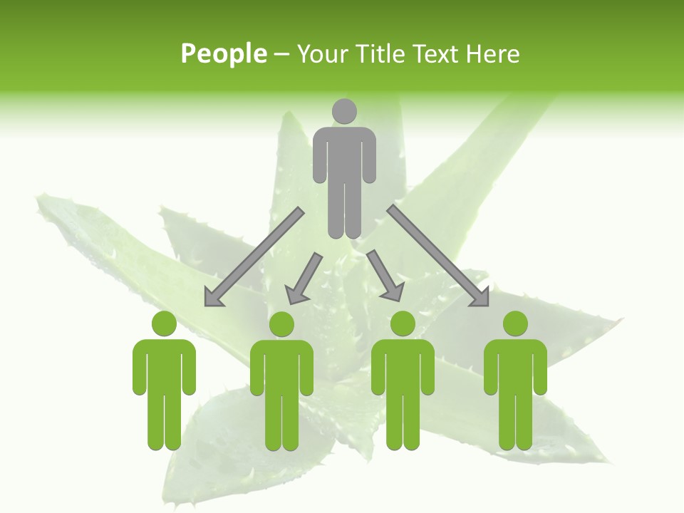 Flower Detail Aloe PowerPoint Template