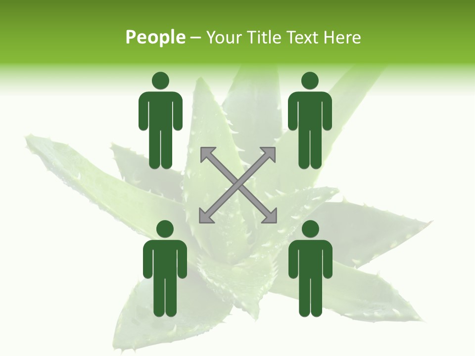 Flower Detail Aloe PowerPoint Template