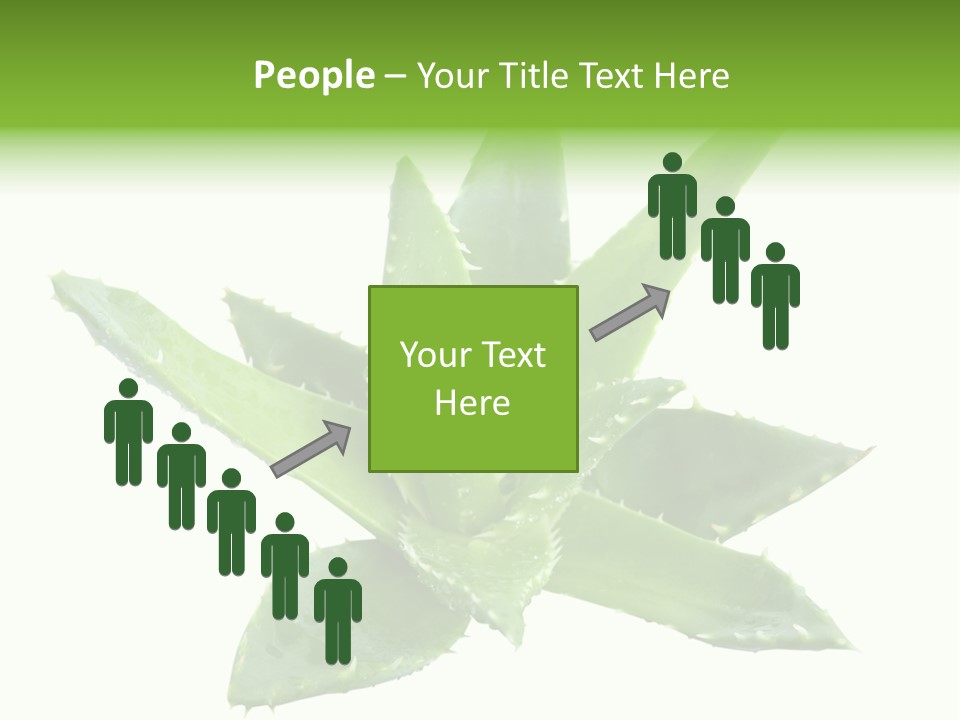 Flower Detail Aloe PowerPoint Template