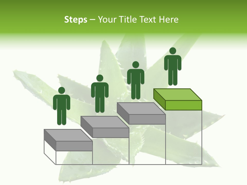 Flower Detail Aloe PowerPoint Template