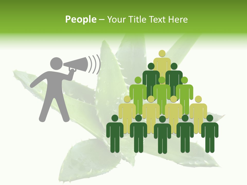 Flower Detail Aloe PowerPoint Template