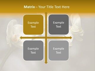 White Exotic Ornate PowerPoint Template