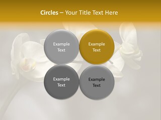 White Exotic Ornate PowerPoint Template