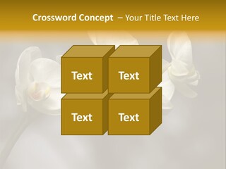 White Exotic Ornate PowerPoint Template