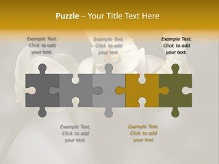 White Exotic Ornate PowerPoint Template