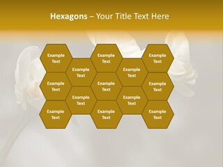 White Exotic Ornate PowerPoint Template