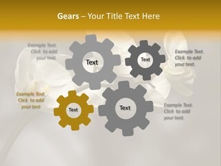 White Exotic Ornate PowerPoint Template