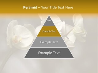 White Exotic Ornate PowerPoint Template