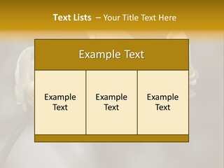 White Exotic Ornate PowerPoint Template