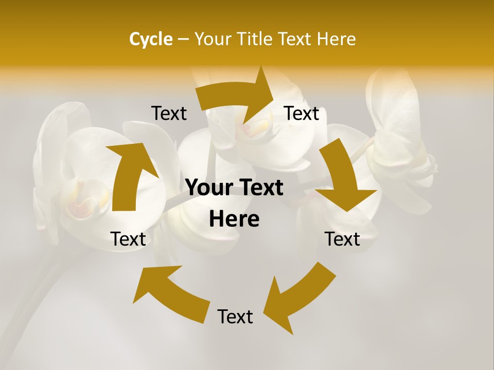 White Exotic Ornate PowerPoint Template