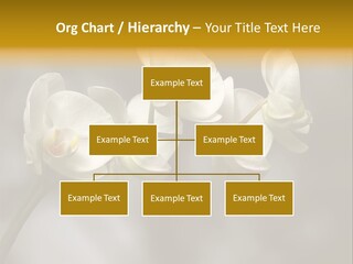 White Exotic Ornate PowerPoint Template