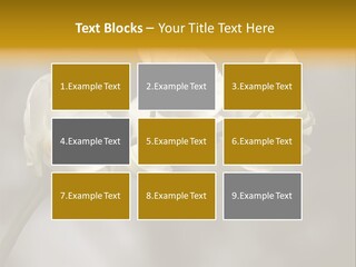 White Exotic Ornate PowerPoint Template