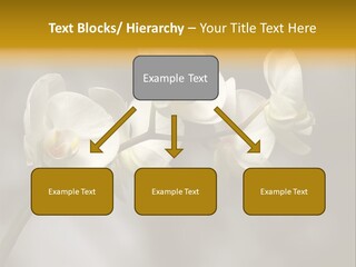 White Exotic Ornate PowerPoint Template