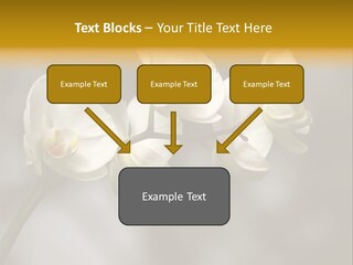 White Exotic Ornate PowerPoint Template