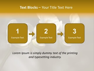 White Exotic Ornate PowerPoint Template