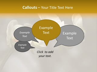 White Exotic Ornate PowerPoint Template