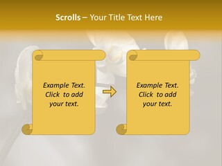 White Exotic Ornate PowerPoint Template