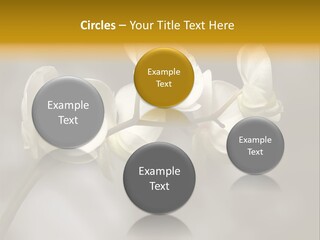 White Exotic Ornate PowerPoint Template
