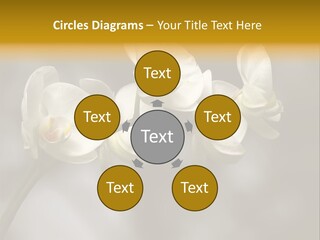 White Exotic Ornate PowerPoint Template