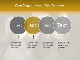 White Exotic Ornate PowerPoint Template