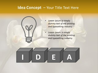 White Exotic Ornate PowerPoint Template