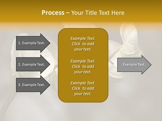 White Exotic Ornate PowerPoint Template