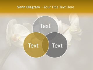 White Exotic Ornate PowerPoint Template