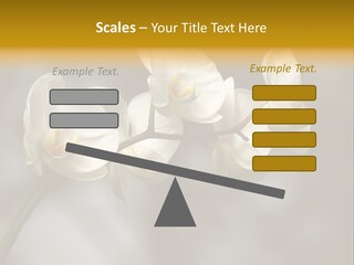 White Exotic Ornate PowerPoint Template