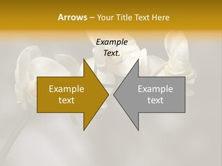 White Exotic Ornate PowerPoint Template