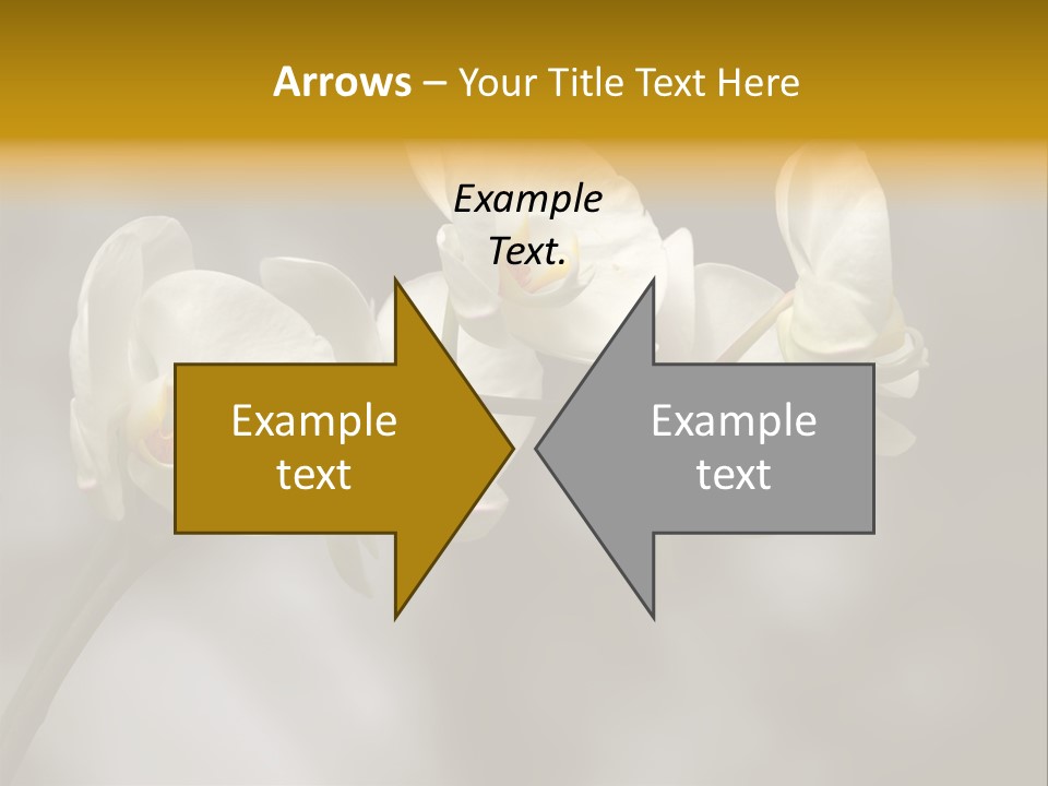 White Exotic Ornate PowerPoint Template