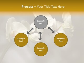 White Exotic Ornate PowerPoint Template