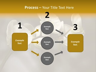 White Exotic Ornate PowerPoint Template