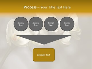 White Exotic Ornate PowerPoint Template