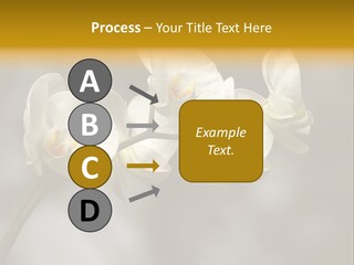 White Exotic Ornate PowerPoint Template