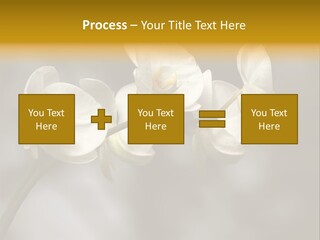 White Exotic Ornate PowerPoint Template